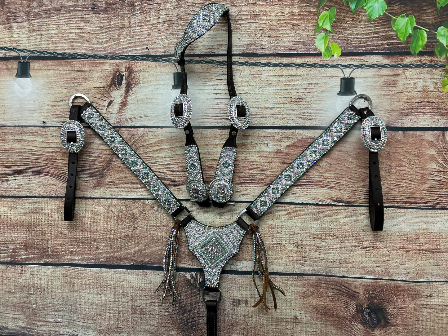 Turquoise Haven Gladiator